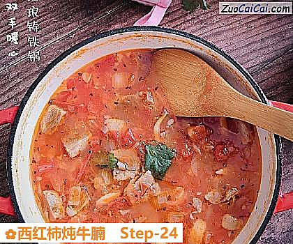 西红柿炖牛腩成品图2