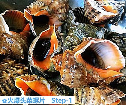 火爆头菜螺片做法第一步骤