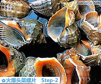 火爆头菜螺片做法第二步骤