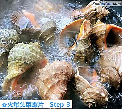 火爆头菜螺片做法第三步骤