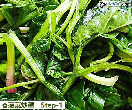 菠菜炒蛋做法第一步骤