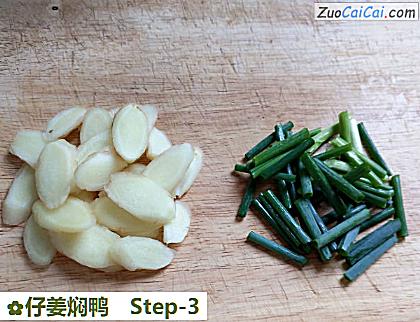 仔姜焖鸭做法第三步骤