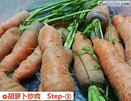 胡萝卜炒肉做法第三步骤