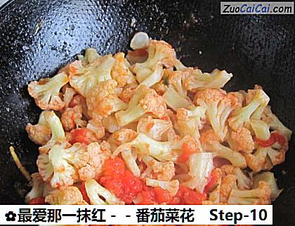 番茄菜花成品图2