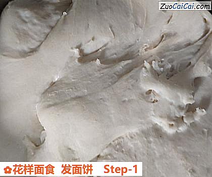 花样面食发面饼做法第一步骤