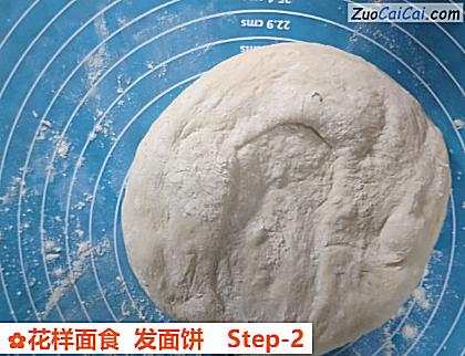花样面食发面饼做法第二步骤