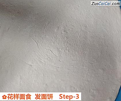 花样面食发面饼做法第三步骤
