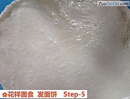 花样面食发面饼做法第五步骤
