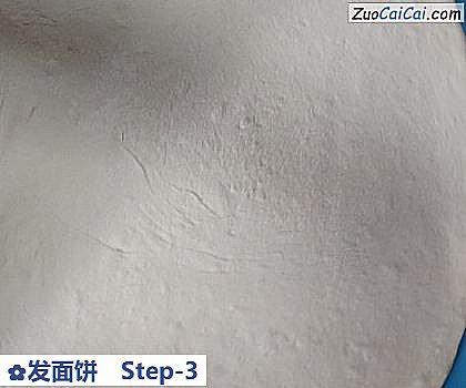 发面饼做法第三步骤