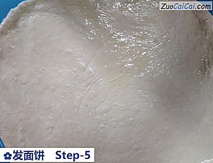 发面饼做法第五步骤