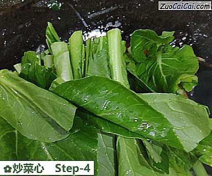 炒菜心做法第四步骤
