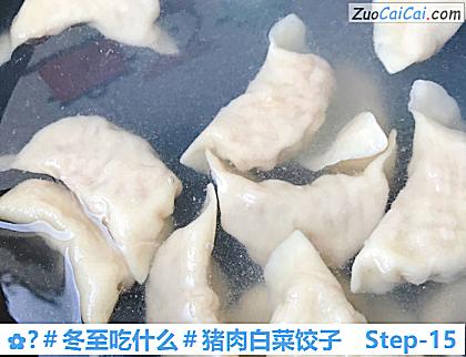 ?猪肉白菜饺子做法第十五步骤