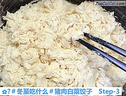?猪肉白菜饺子做法第三步骤