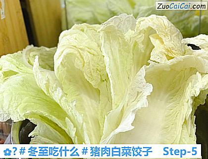 ?猪肉白菜饺子做法第五步骤
