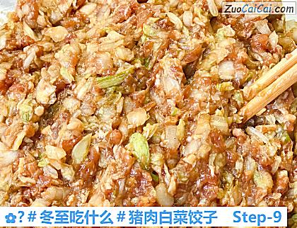 ?猪肉白菜饺子做法第九步骤
