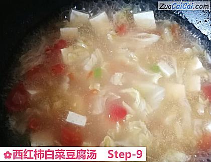 西红柿白菜豆腐汤做法第九步骤