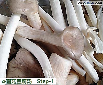 菌菇豆腐汤做法第一步骤