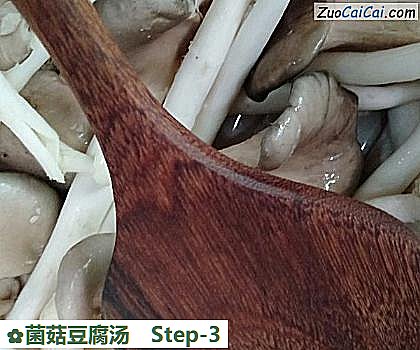 菌菇豆腐汤做法第三步骤