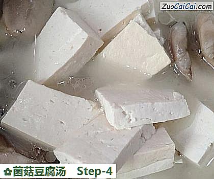 菌菇豆腐汤做法第四步骤