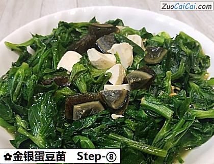 金银蛋豆苗做法第八步骤