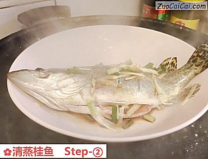 清蒸桂鱼做法第二步骤