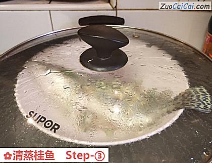 清蒸桂鱼做法第三步骤