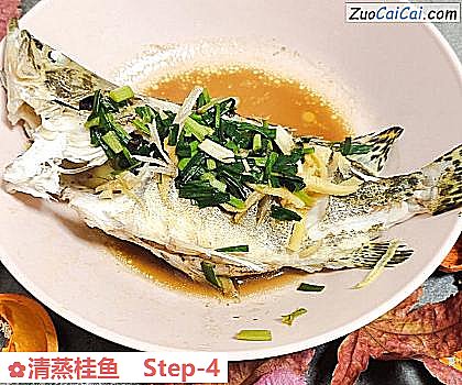 清蒸桂鱼做法第四步骤