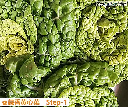 蒜香黄心菜做法第一步骤