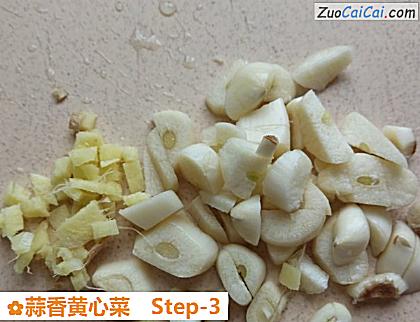 蒜香黄心菜做法第三步骤