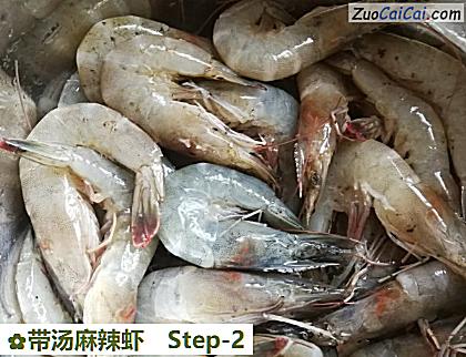 带汤麻辣虾做法第二步骤