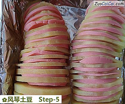 风琴土豆做法第五步骤