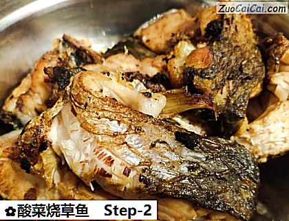 酸菜烧草鱼做法第二步骤