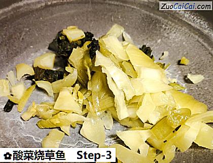 酸菜烧草鱼做法第三步骤