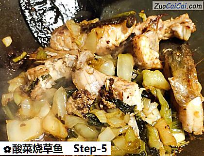 酸菜烧草鱼做法第五步骤