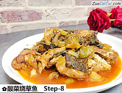 酸菜烧草鱼做法第八步骤
