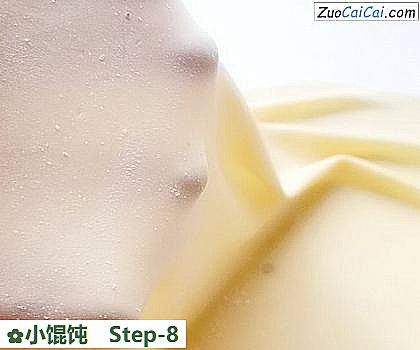 小馄饨做法第八步骤