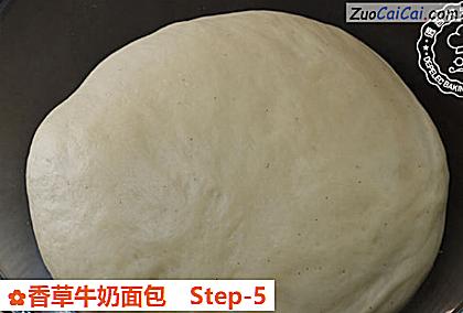香草牛奶面包做法第五步骤