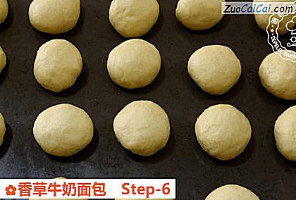香草牛奶面包做法第六步骤