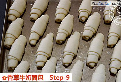 香草牛奶面包做法第九步骤