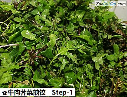牛肉荠菜煎饺做法第一步骤