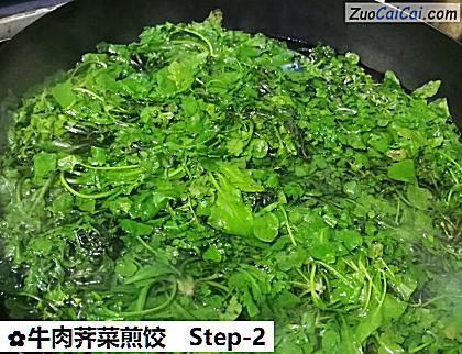 牛肉荠菜煎饺做法第二步骤