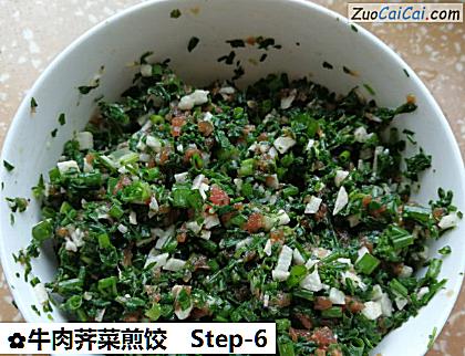 牛肉荠菜煎饺做法第六步骤