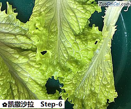 凯撒沙拉做法第六步骤