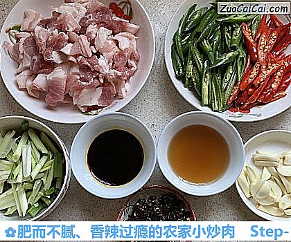 肥而不腻、香辣过瘾的农家小炒肉做法第一步骤