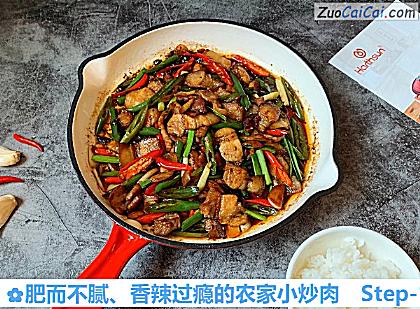 肥而不腻、香辣过瘾的农家小炒肉做法第十步骤