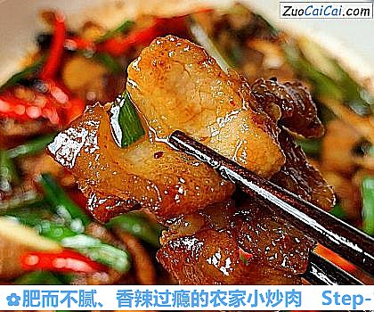 肥而不腻、香辣过瘾的农家小炒肉做法第十一步骤