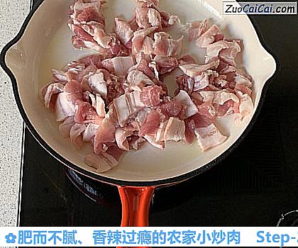 肥而不腻、香辣过瘾的农家小炒肉做法第二步骤