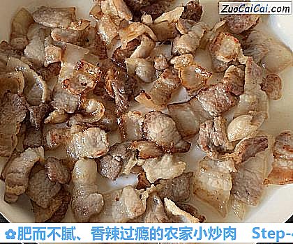 肥而不腻、香辣过瘾的农家小炒肉做法第四步骤
