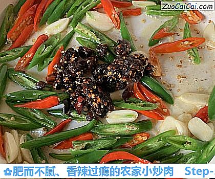 肥而不腻、香辣过瘾的农家小炒肉做法第五步骤