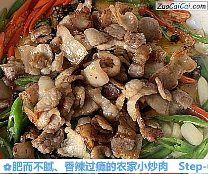 肥而不腻、香辣过瘾的农家小炒肉做法第六步骤